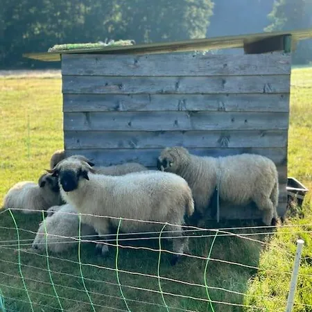 公寓 Krone 2 - Mernes *