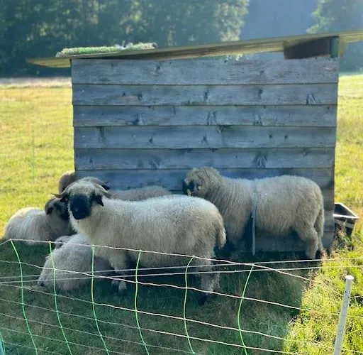 Apartman Krone 2 - Mernes *