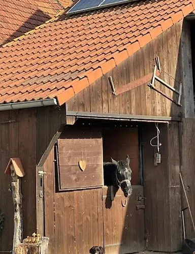 Apartman Krone 2 - Mernes